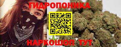 apvp Боровичи