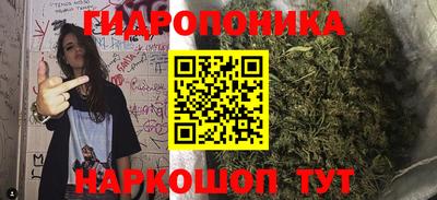a pvp Братск