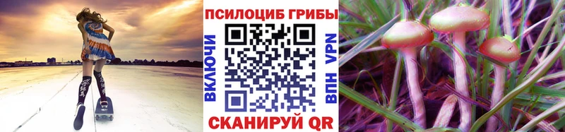 Галлюциногенные грибы MAGIC MUSHROOMS  Маркс 