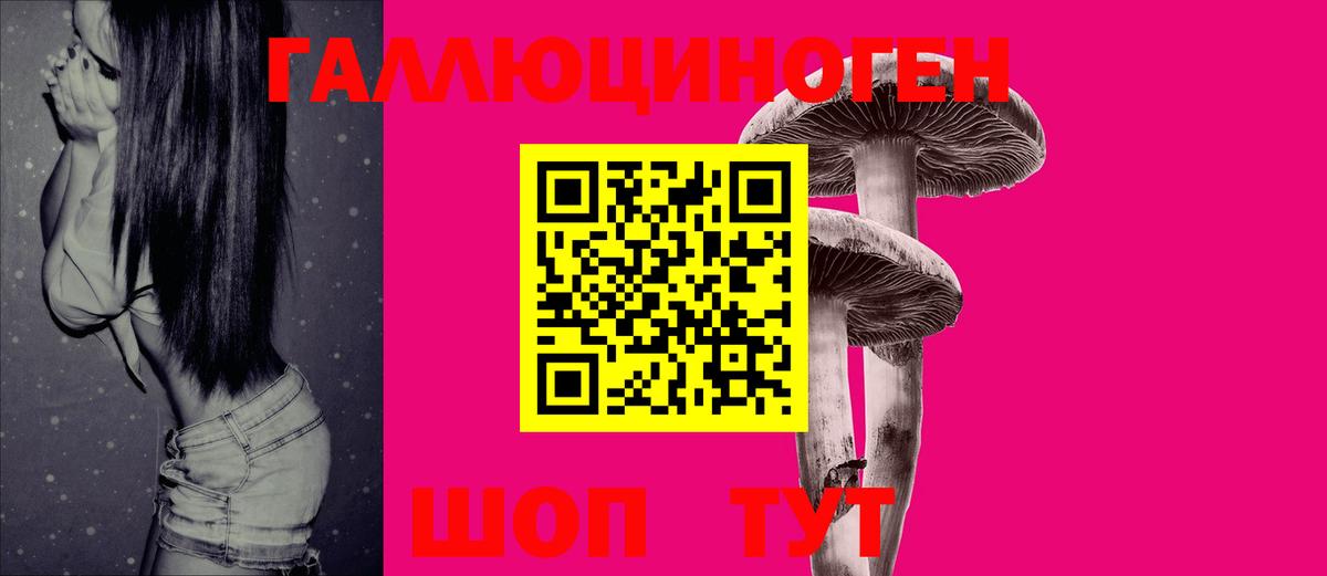 Маркс  Псилоцибиновые грибы MAGIC MUSHROOMS  Вход с VPN 